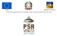 Logo PSR